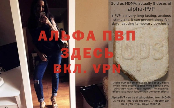 индика Мегион