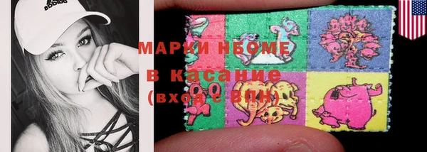 стаф Арсеньев