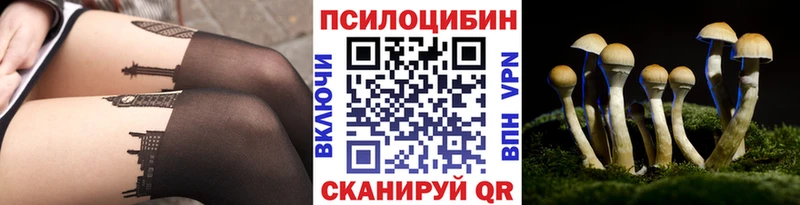 kraken как войти  даркнет наркотические препараты  Псилоцибиновые грибы MAGIC MUSHROOMS  цена   Багратионовск 