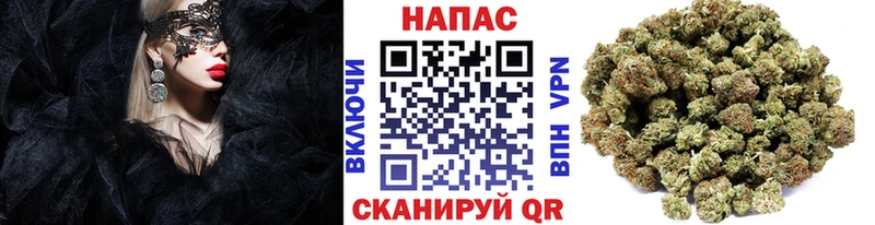 Конопля сатива  OMG   Багратионовск  цены  